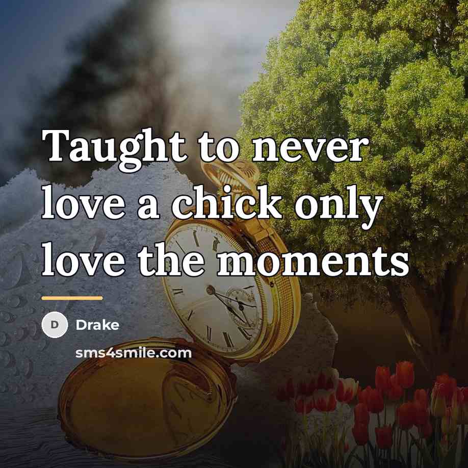 “Taught to never love a chick only love the moments…” quote by Drake
