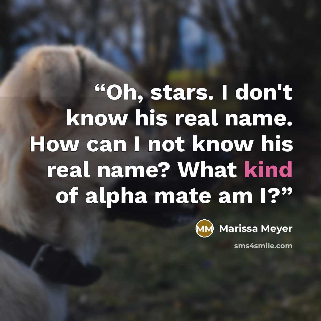 “Oh, stars. I don't know his real name. How can I not know his real name? What kind of alpha mate am I?” quote by Marissa Meyer