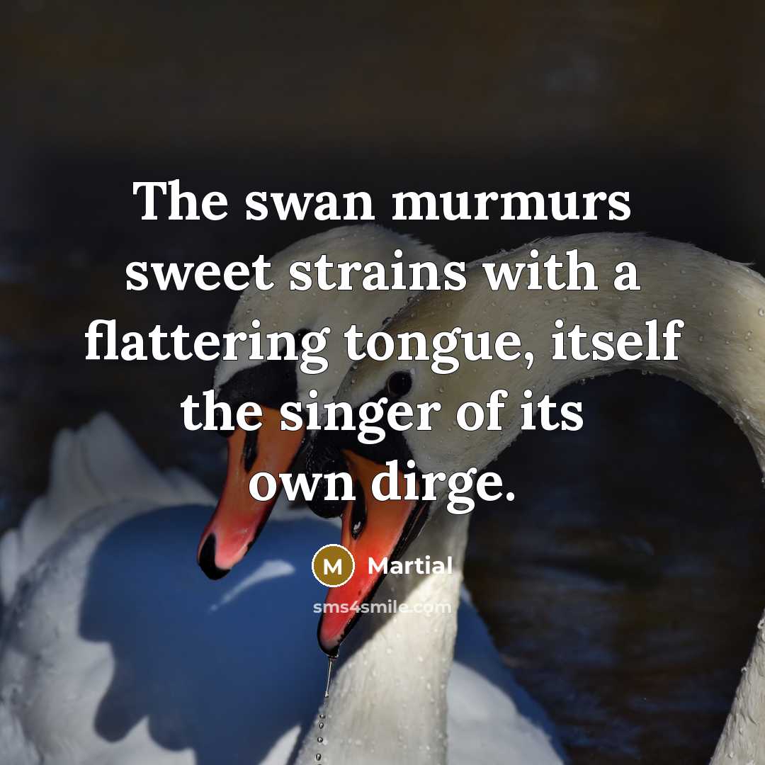 “The swan murmurs sweet strains with a flattering tongue, itself…” quote by Martial