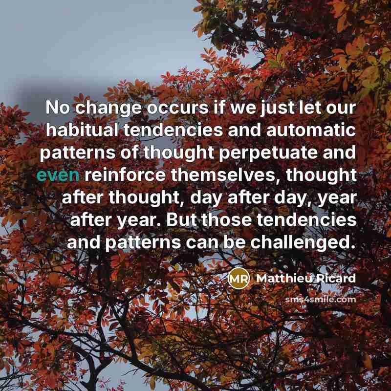 “No change occurs if we just let our habitual tendencies…” quote by Matthieu Ricard
