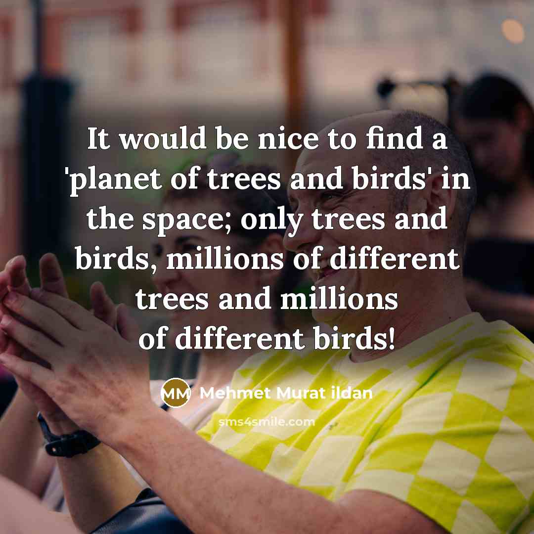 “It would be nice to find a 'planet of trees…” quote by Mehmet Murat Ildan