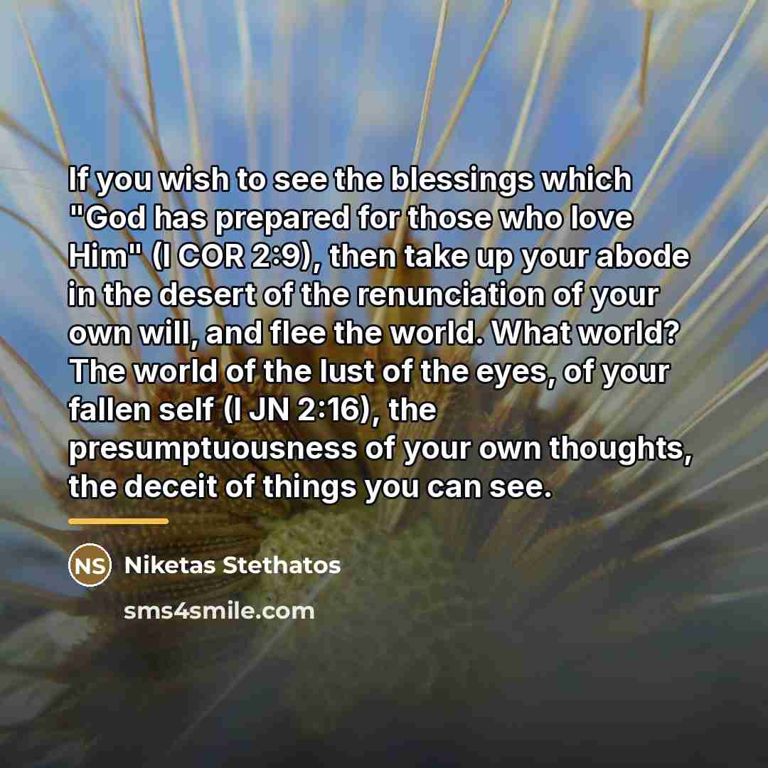 “If you wish to see the blessings which "God has…” quote by Niketas Stethatos