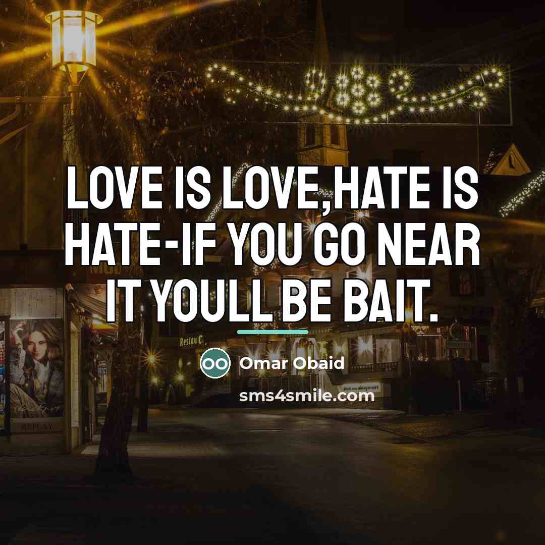 “Love is love,hate is hate-if you go near it youll…” quote by Omar Obaid
