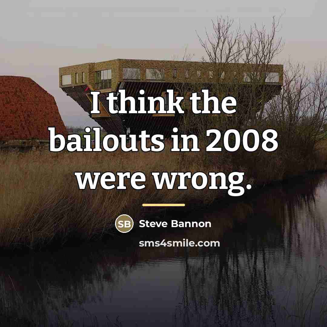 “I think the bailouts in 2008 were wrong.…” quote by Steve Bannon