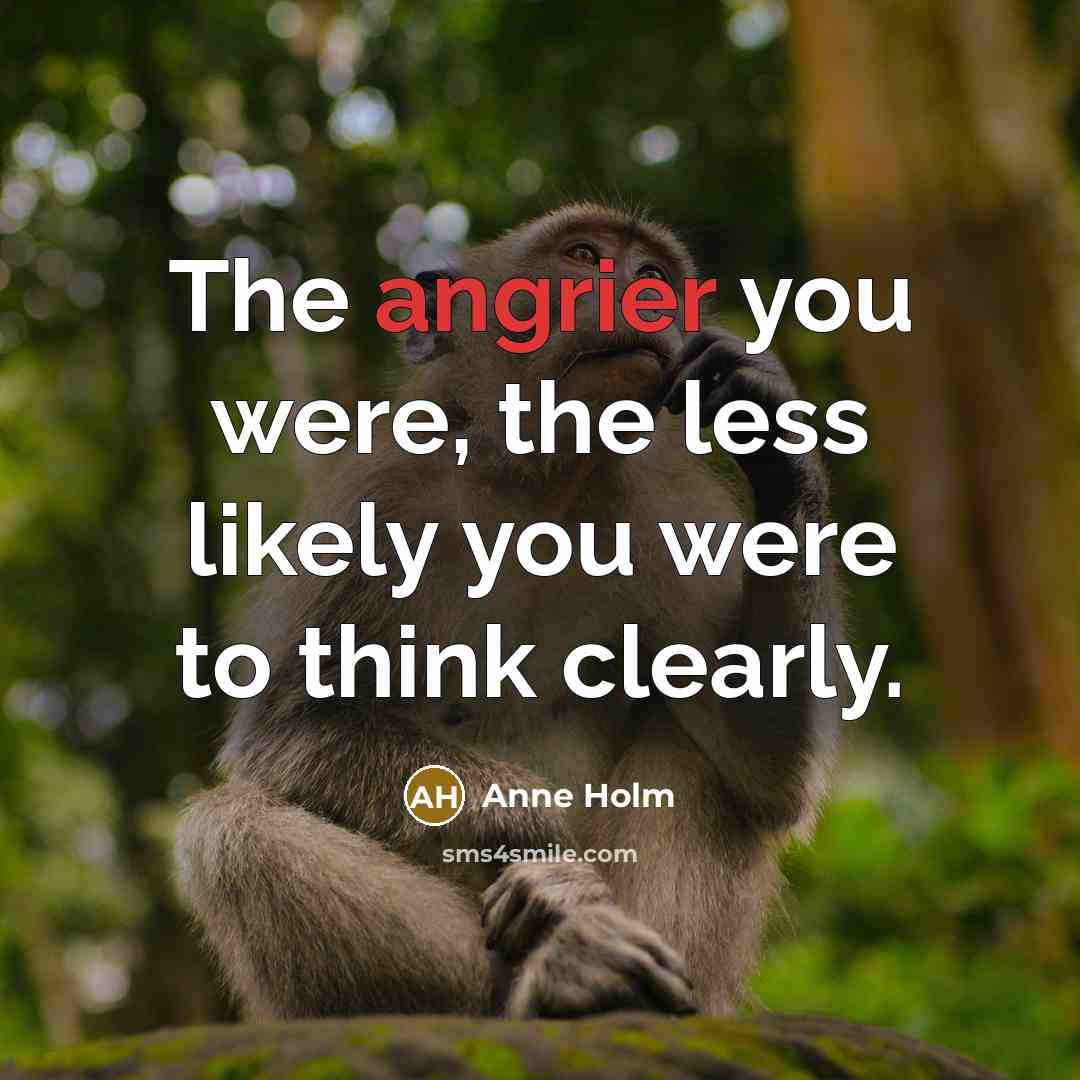“The angrier you were, the less likely you were to think clearly.” quote by Anne Holm