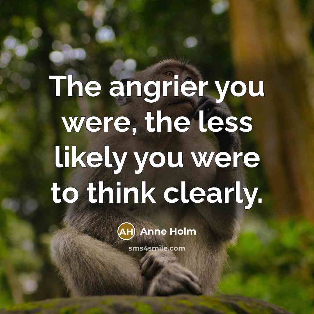 “The angrier you were, the less likely you were to…” quote by Anne Holm