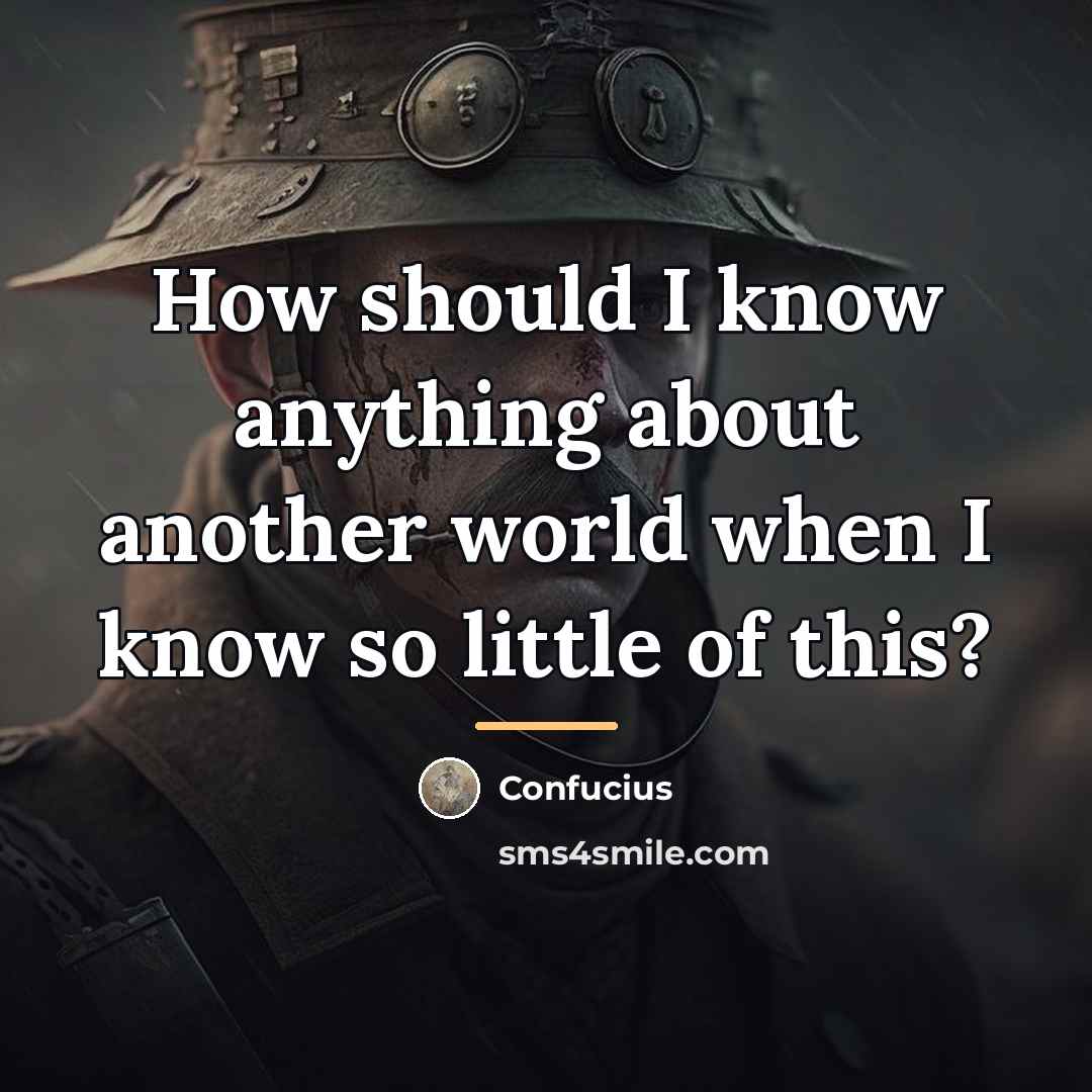 “How should I know anything about another world when I…” quote by Confucius