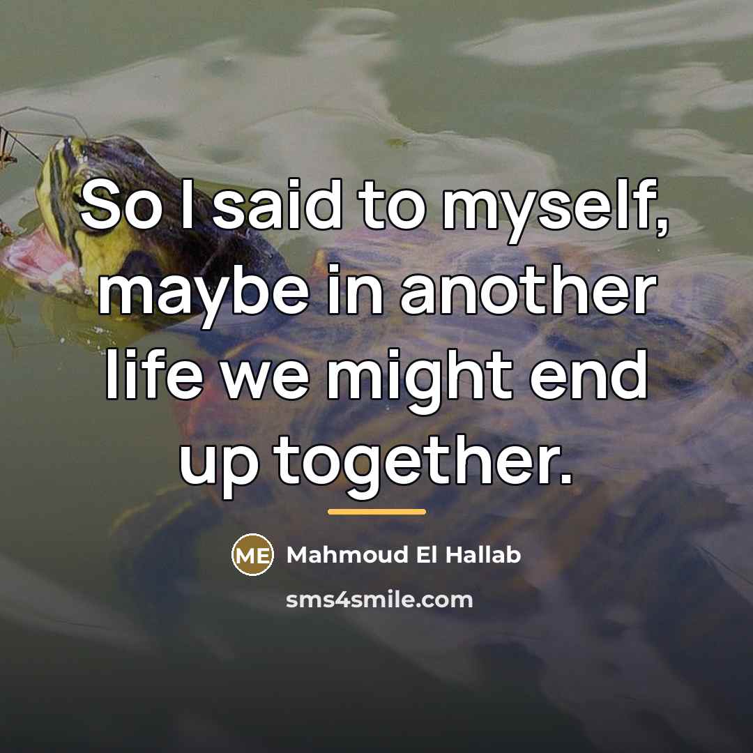 “So I said to myself, maybe in another life we…” quote by Mahmoud El Hallab
