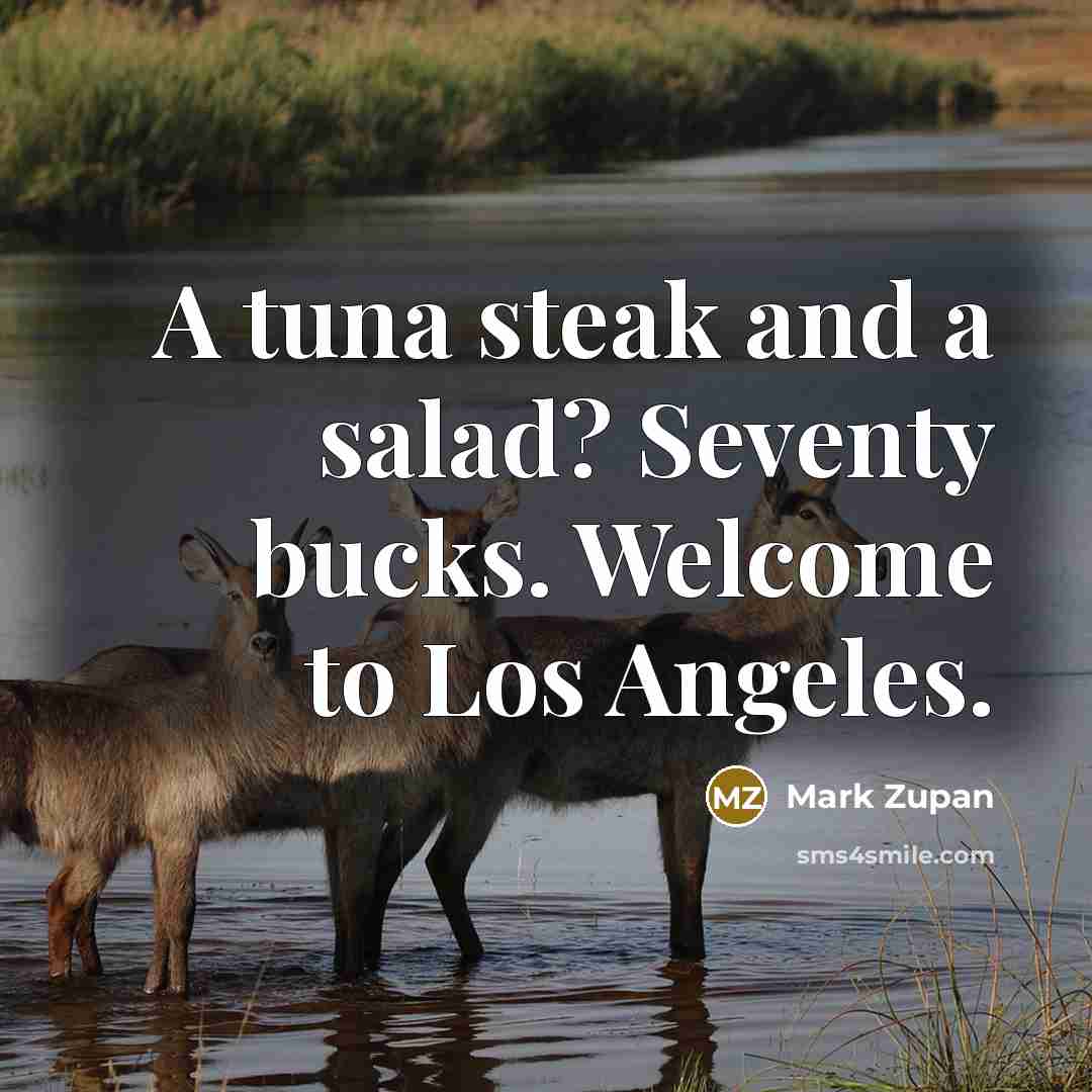 “A tuna steak and a salad? Seventy bucks. Welcome to…” quote by Mark Zupan