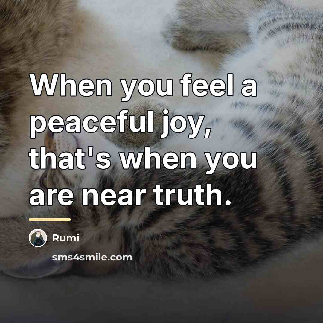 “When you feel a peaceful joy, that's when you are…” quote by Rumi