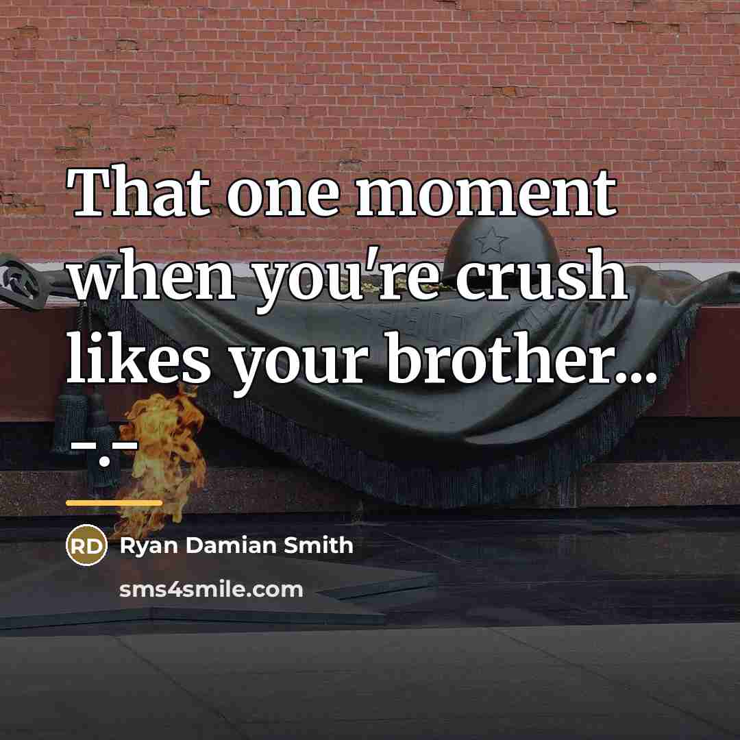 “That one moment when you're crush likes your brother... -.-…” quote by Ryan Damian Smith