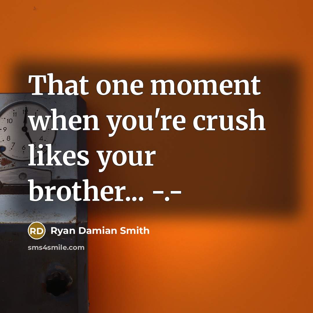 “That one moment when you're crush likes your brother... -.-” quote by Ryan Damian Smith