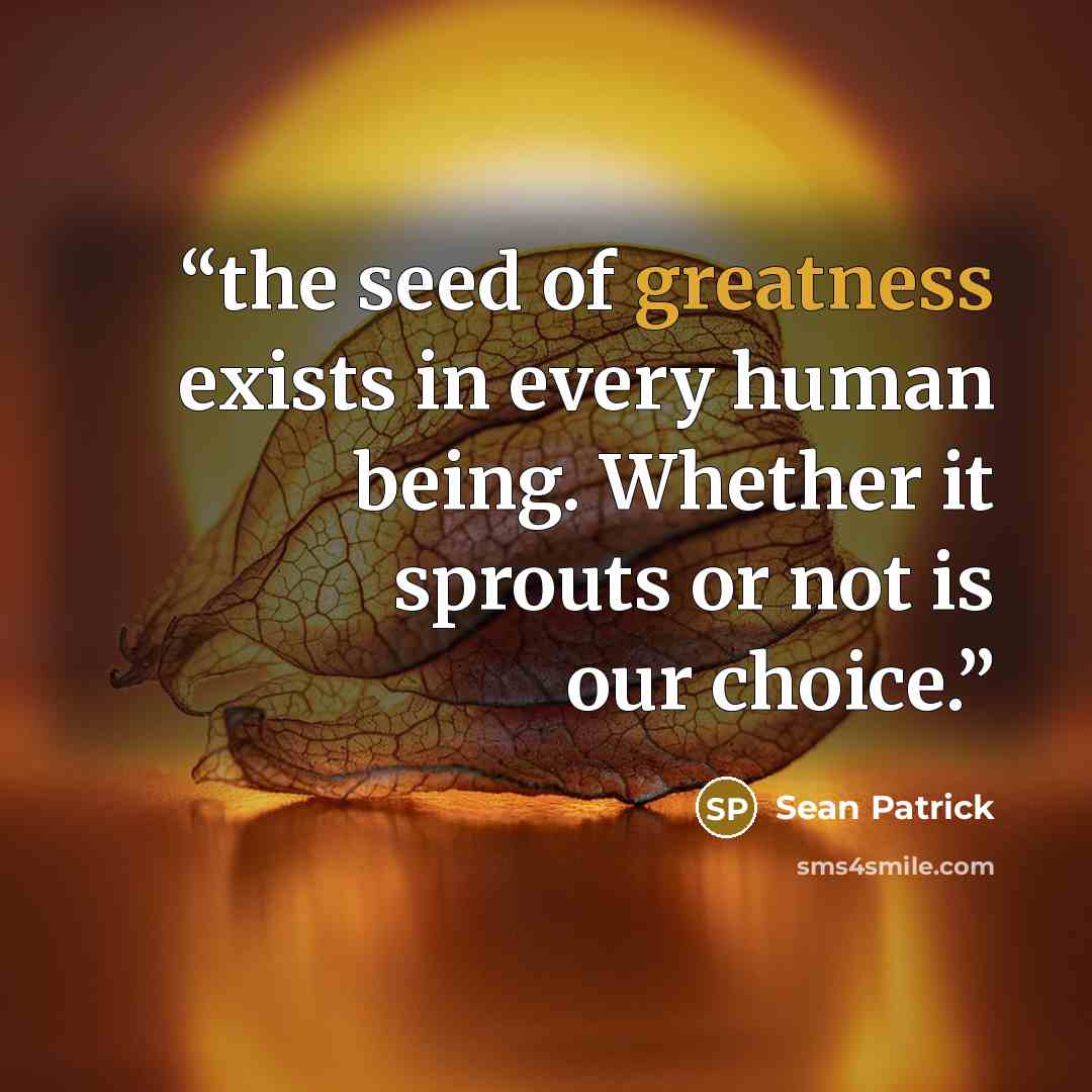 “the seed of greatness exists in every human being. Whether it sprouts or not is our choice.” quote by Sean Patrick