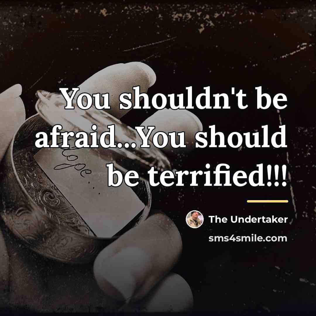 “You shouldn't be afraid...You should be terrified!!!…” quote by The Undertaker