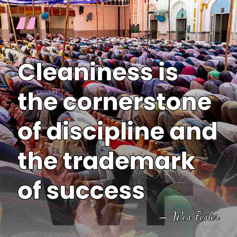 Cleaniness is the cornerstone of discipline and the trademark of success - Wes Fesler
