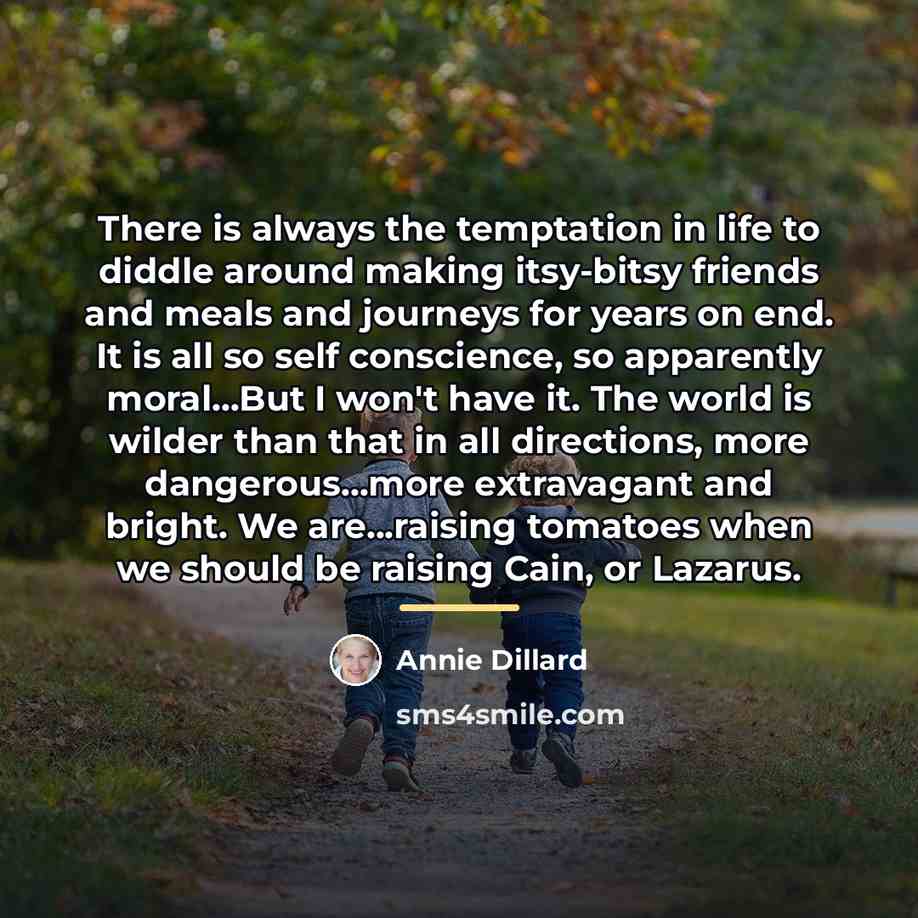 “There is always the temptation in life to diddle around…” quote by Annie Dillard