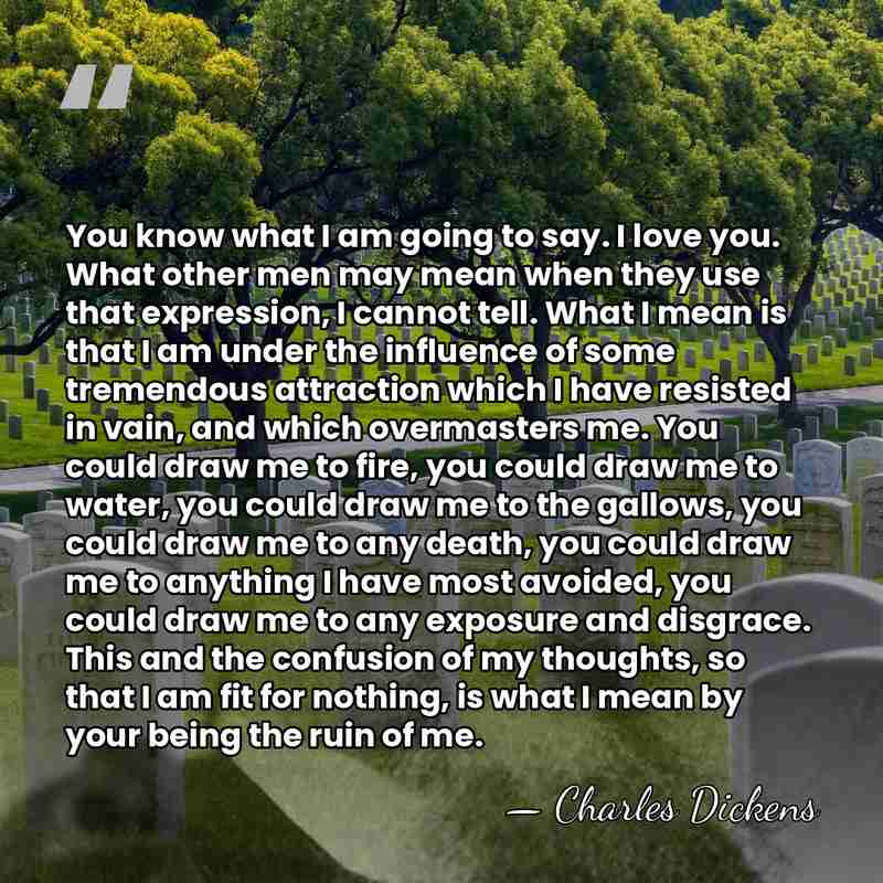 You know what I am going to say. I love you. What&hellip; - Charles Dickens