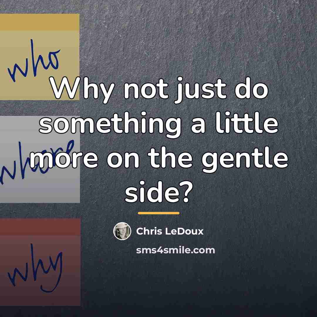 “Why not just do something a little more on the…” quote by Chris LeDoux