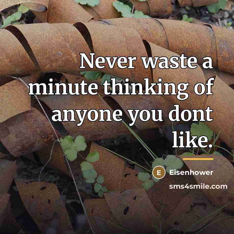 “Never waste a minute thinking of anyone you dont like.…” quote by Eisenhower