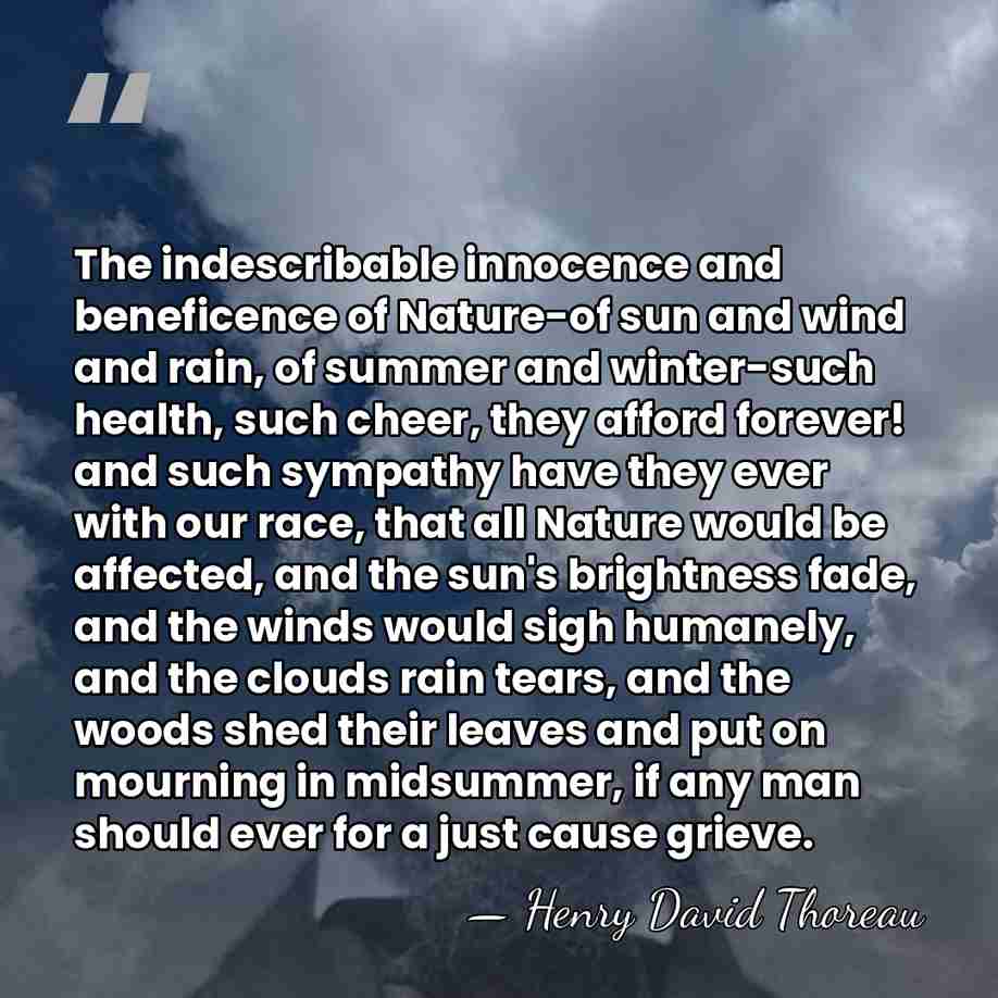 The indescribable innocence and beneficence of Nature-of sun and wind and rain,&hellip; - Henry David Thoreau