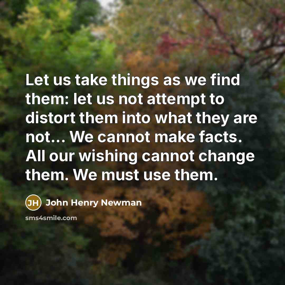“Let us take things as we find them: let us…” quote by John Henry Newman