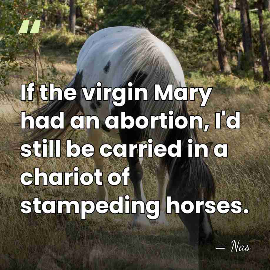 If the virgin Mary had an abortion, I'd still be carried in&hellip; - Nas