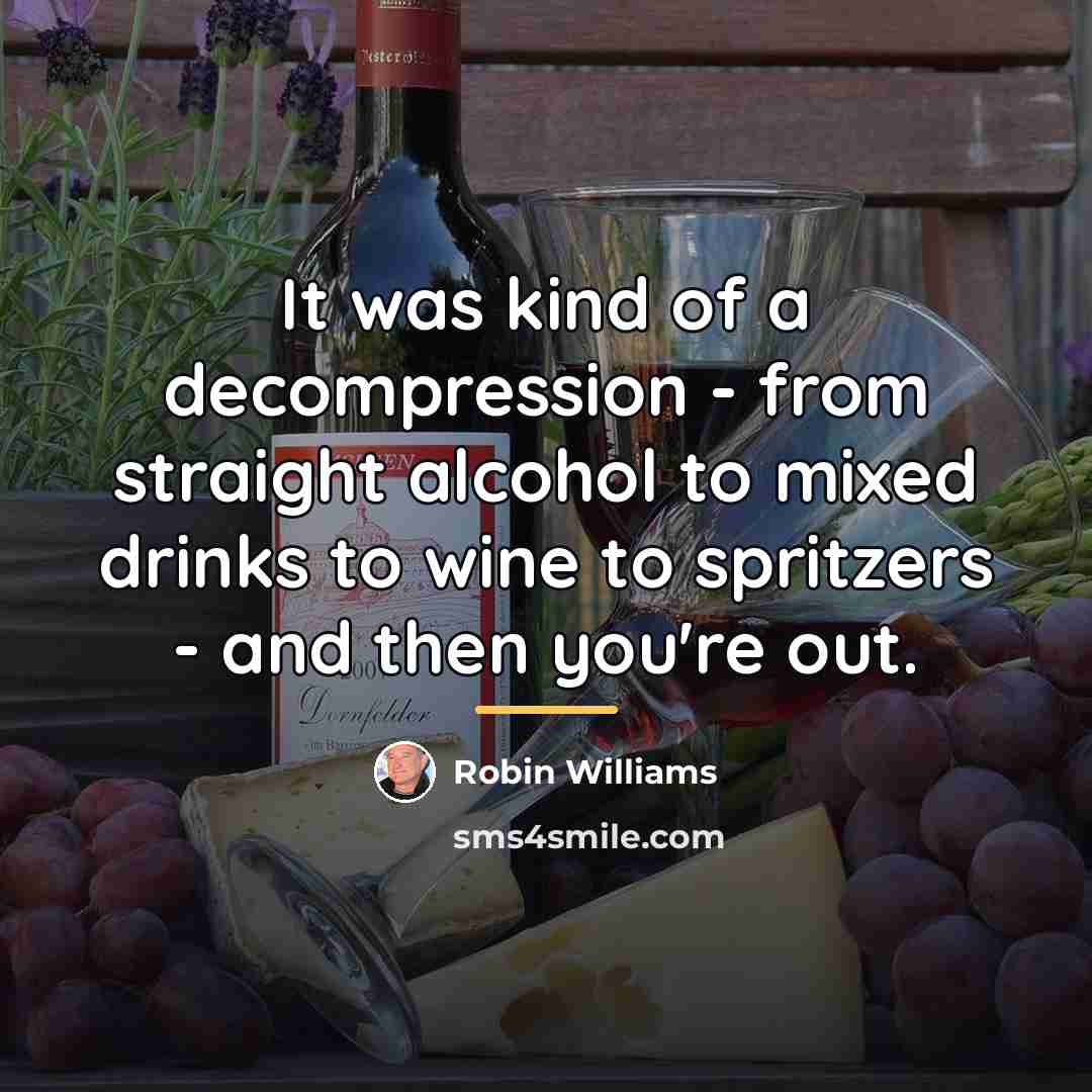 “It was kind of a decompression - from straight alcohol…” quote by Robin Williams