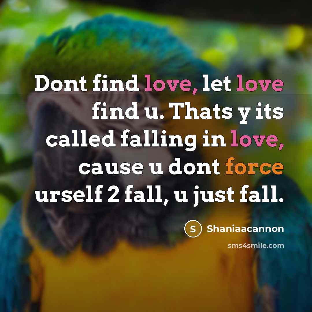 “Dont find love, let love find u. Thats y its…” quote by Shaniaacannon