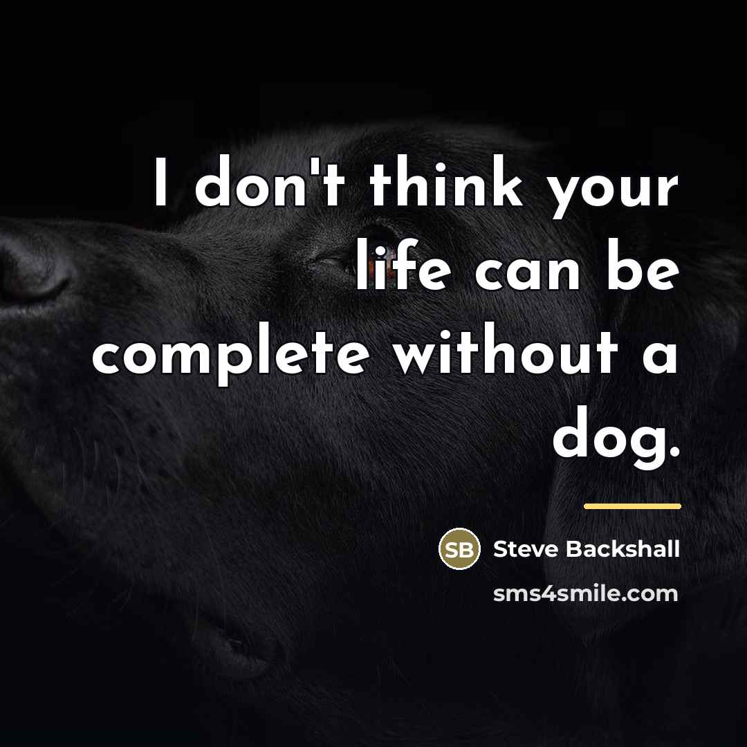 “I don't think your life can be complete without a…” quote by Steve Backshall