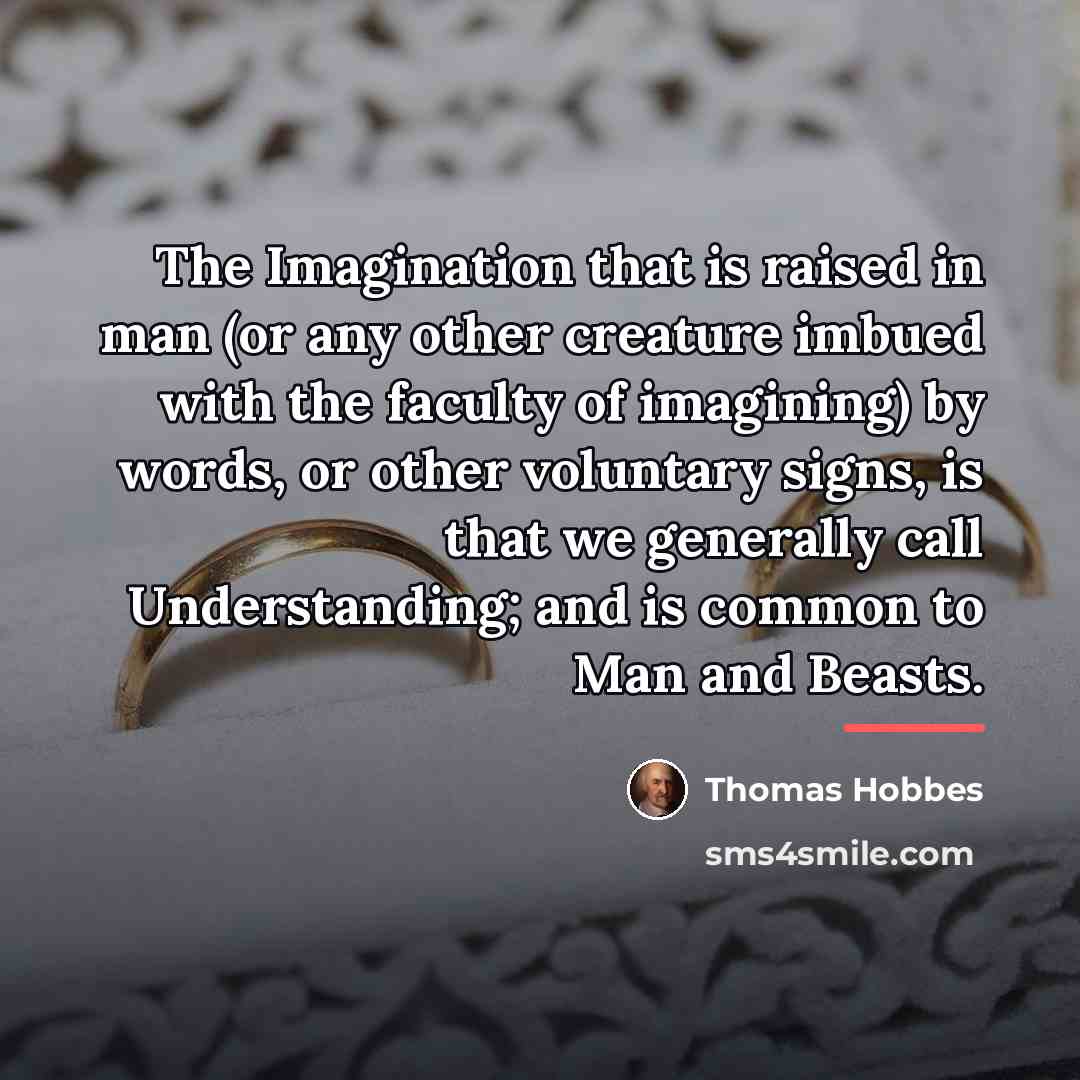 “The Imagination that is raised in man (or any other…” quote by Thomas Hobbes