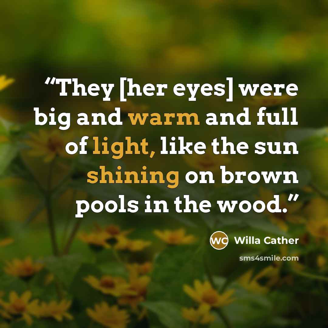 “They [her eyes] were big and warm and full of light, like the sun shining on brown pools in the wood.” quote by Willa Cather