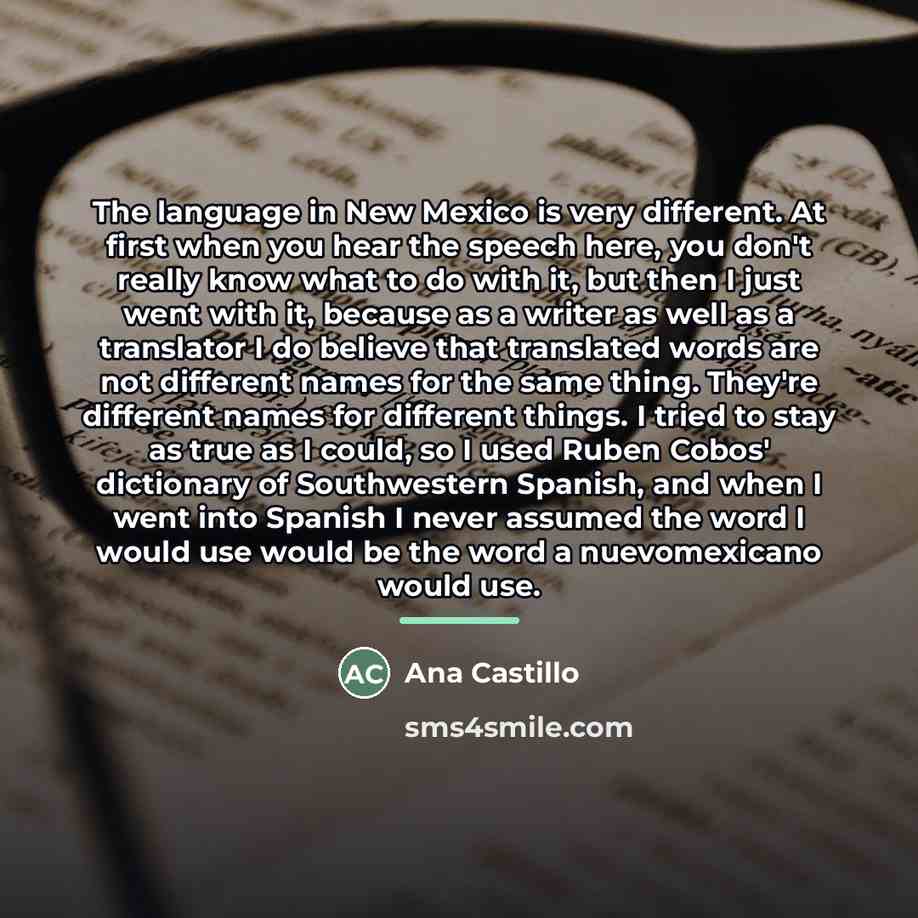 “The language in New Mexico is very different. At first…” quote by Ana Castillo