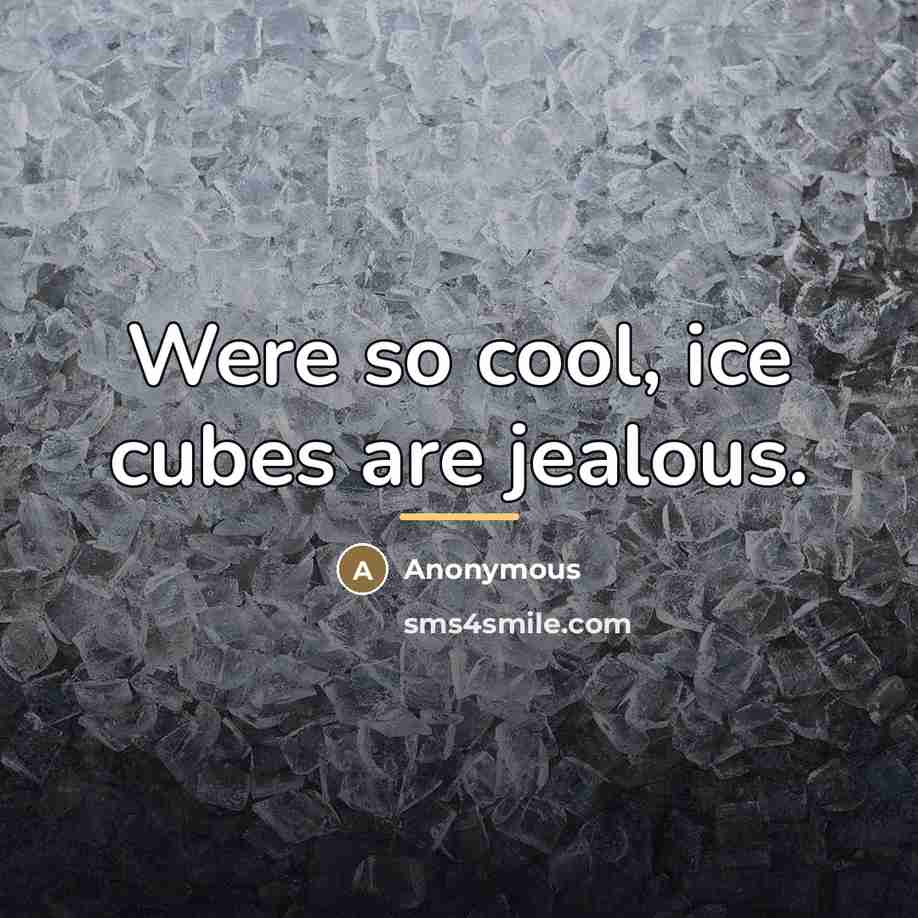 “Were so cool, ice cubes are jealous.…” quote by Anonymous