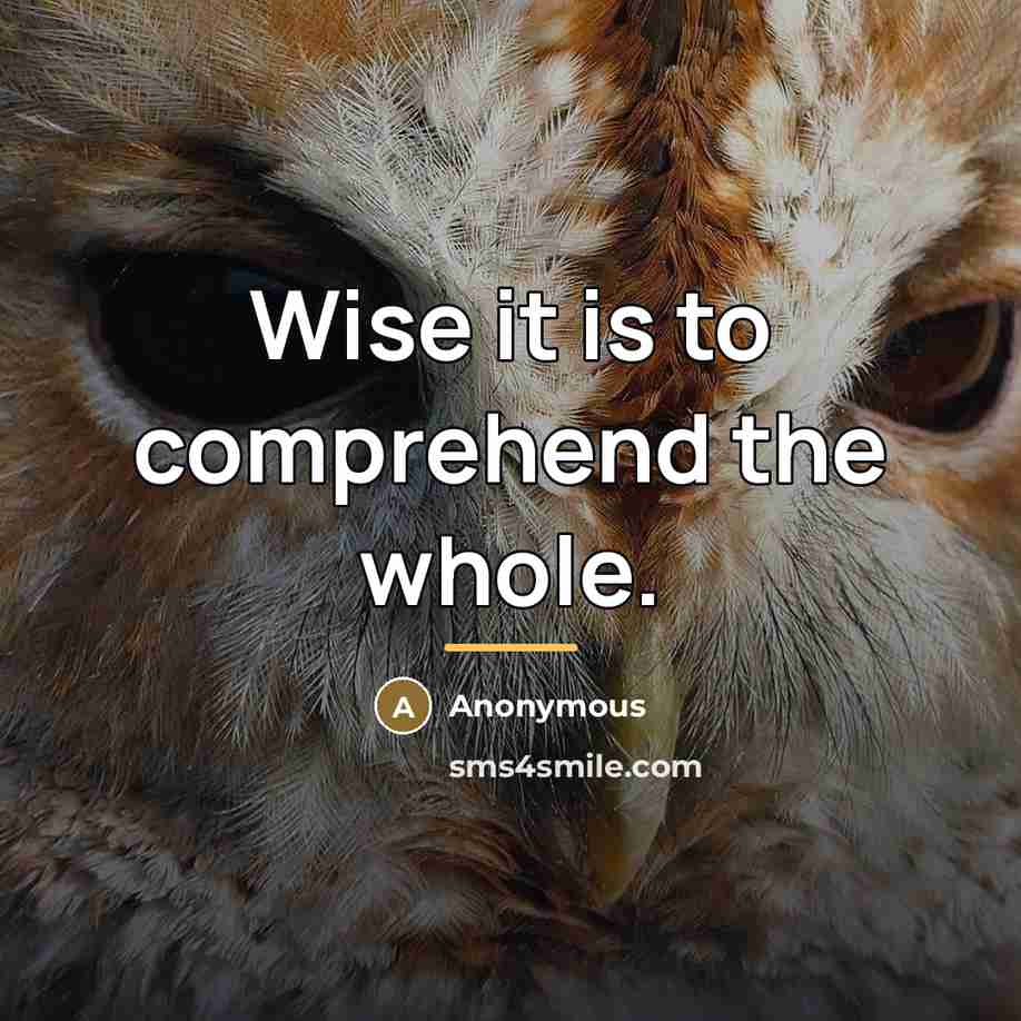 “Wise it is to comprehend the whole.…” quote by Anonymous