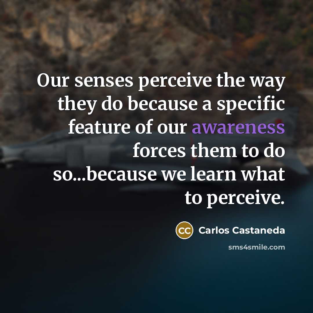 “Our senses perceive the way they do because a specific…” quote by Carlos Castaneda