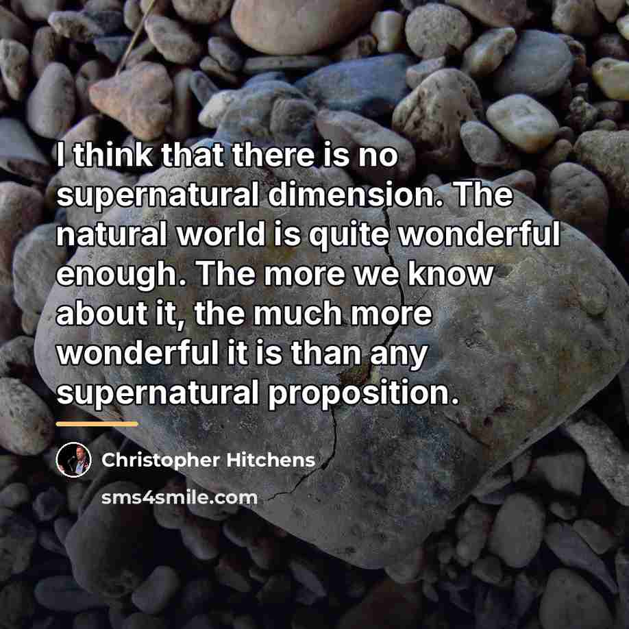 “I think that there is no supernatural dimension. The natural…” quote by Christopher Hitchens