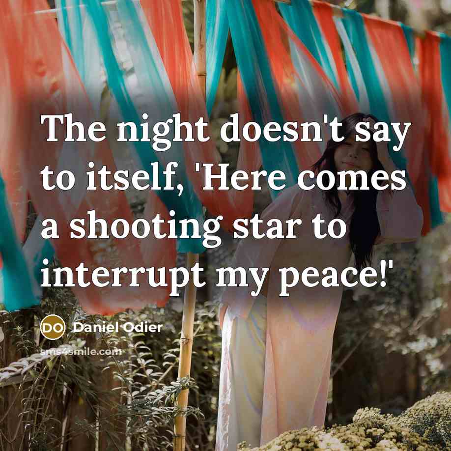“The night doesn't say to itself, 'Here comes a shooting star to interrupt my peace!'” quote by Daniel Odier