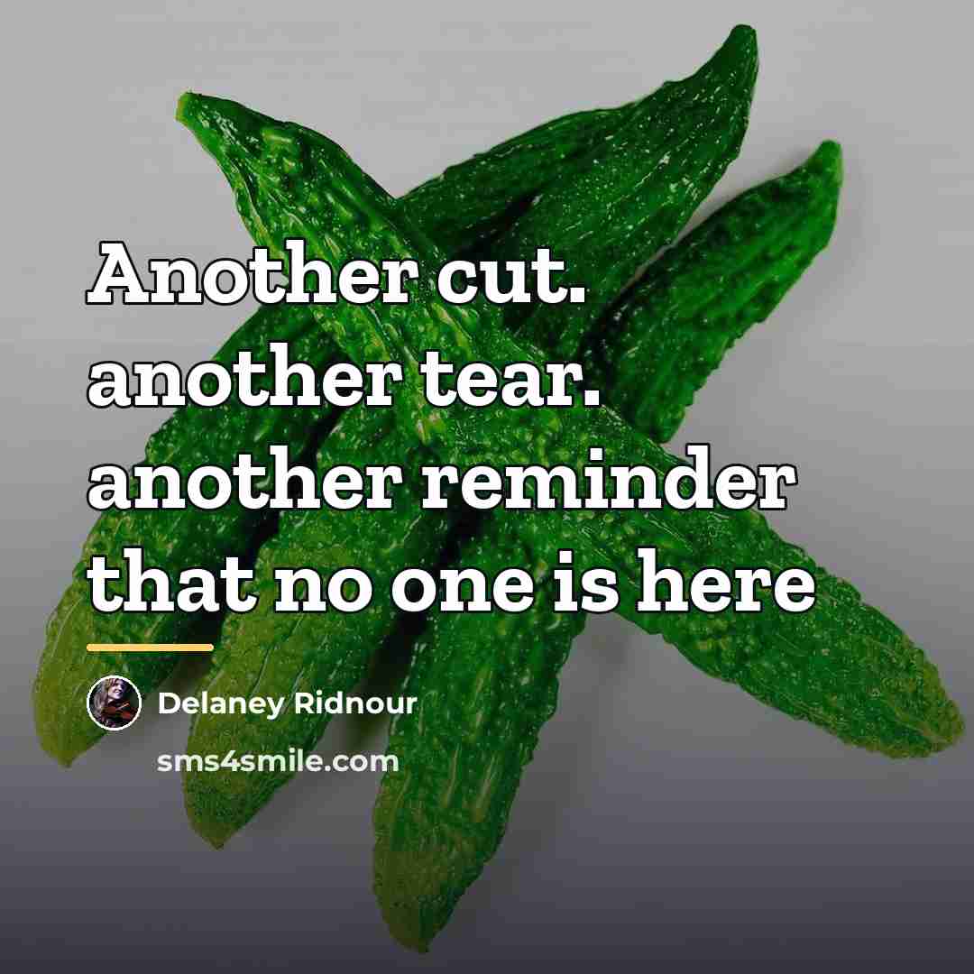 “Another cut. another tear. another reminder that no one is…” quote by Delaney Ridnour