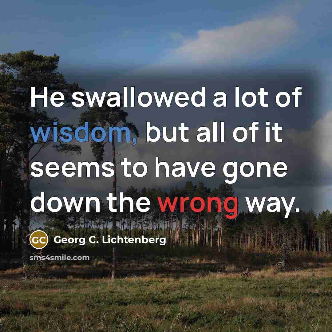 “He swallowed a lot of wisdom, but all of it…” quote by Georg C. Lichtenberg
