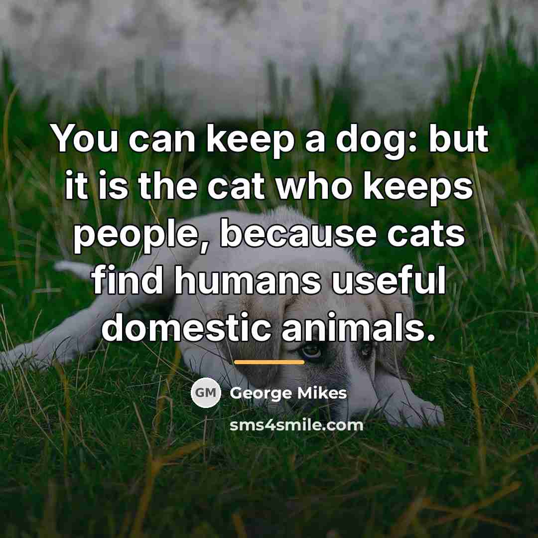 “You can keep a dog: but it is the cat…” quote by George Mikes