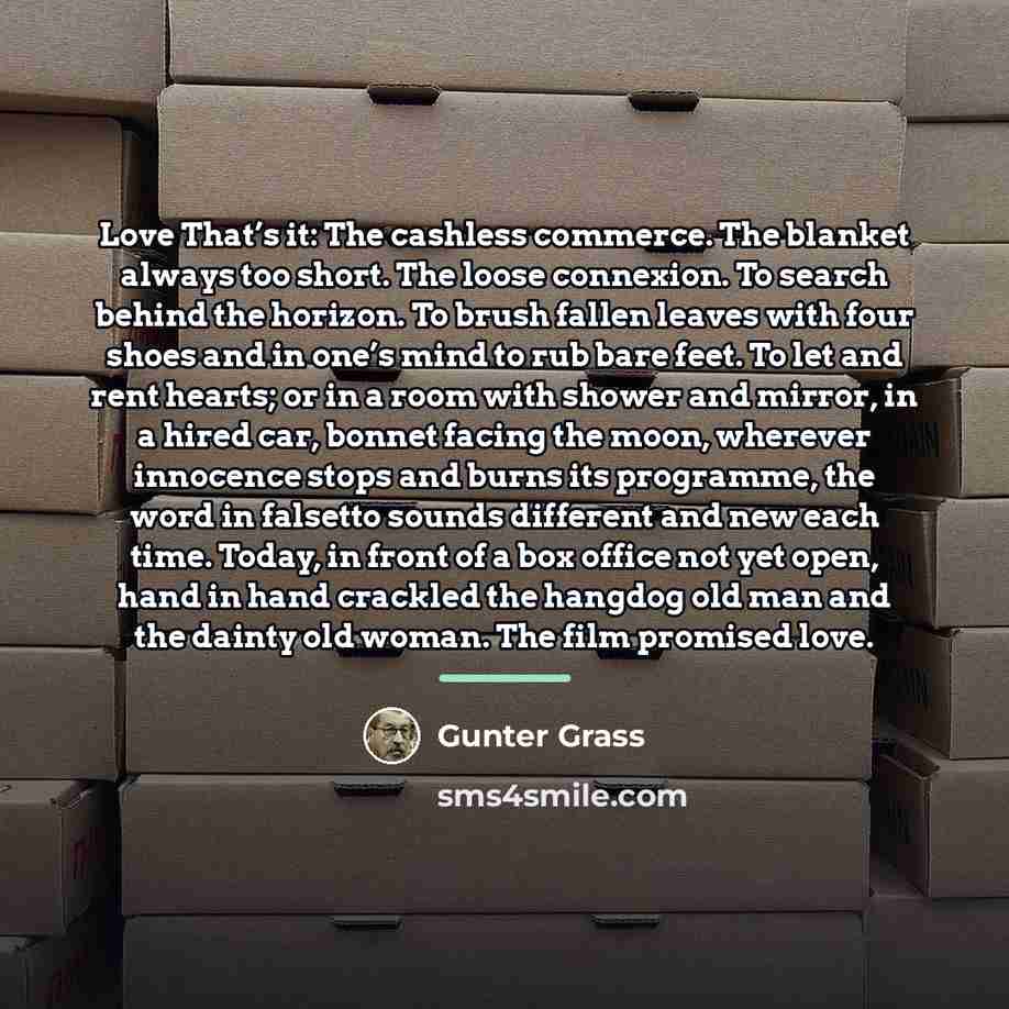 “Love That’s it: The cashless commerce. The blanket always too…” quote by Gunter Grass