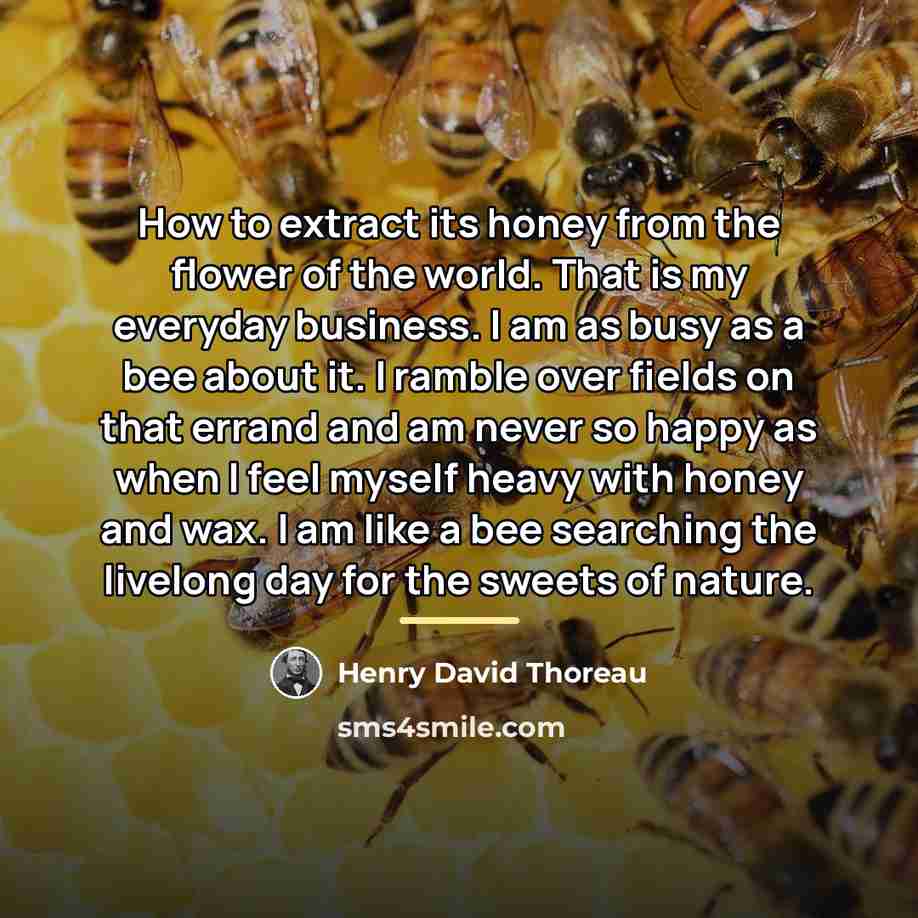 “How to extract its honey from the flower of the…” quote by Henry David Thoreau
