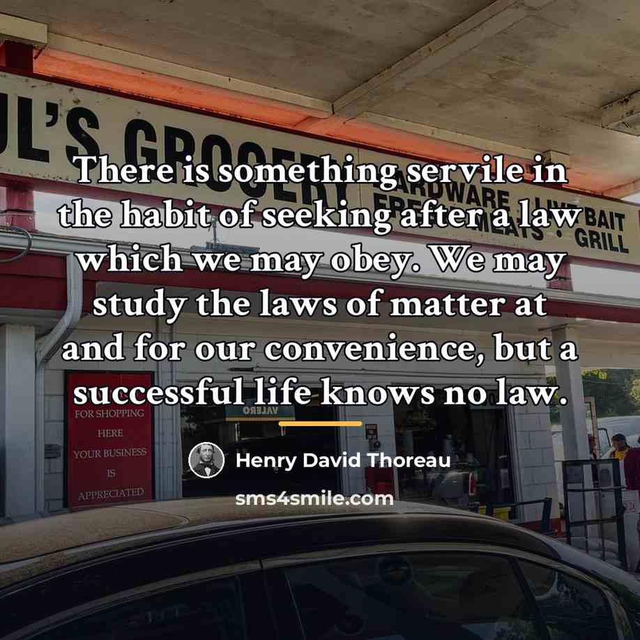“There is something servile in the habit of seeking after…” quote by Henry David Thoreau