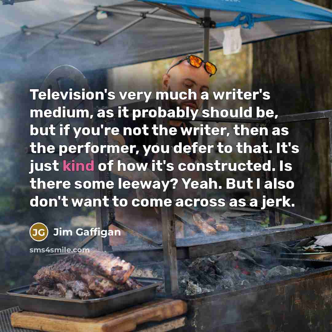 “Television's very much a writer's medium, as it probably should…” quote by Jim Gaffigan