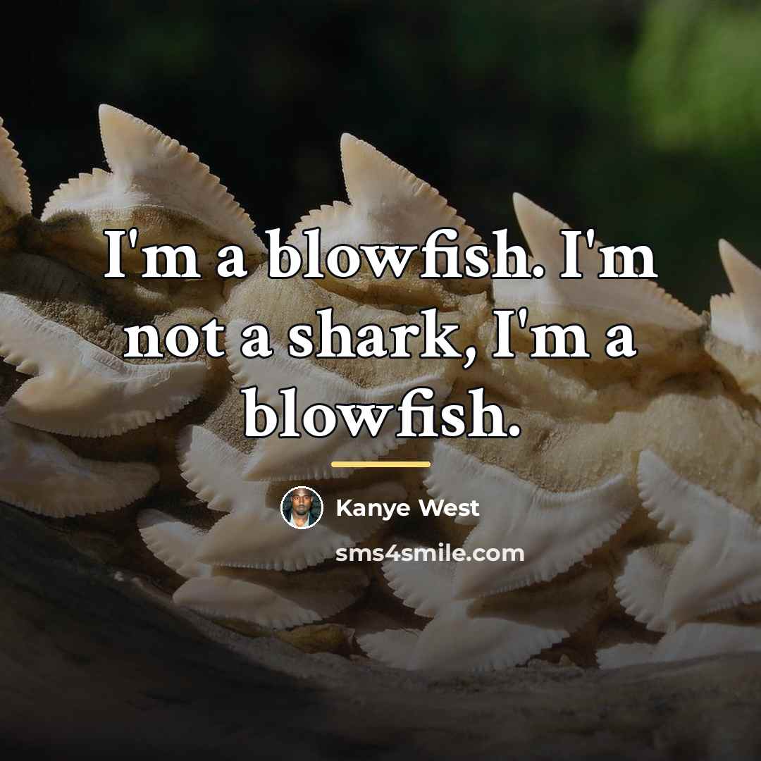 “I'm a blowfish. I'm not a shark, I'm a blowfish.…” quote by Kanye West
