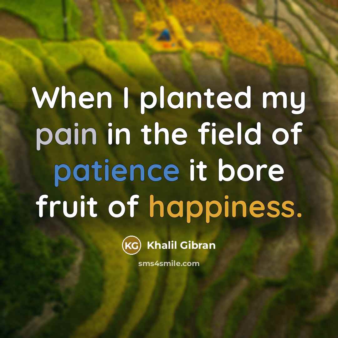 “When I planted my pain in the field of patience it bore fruit of happiness.” quote by Khalil Gibran