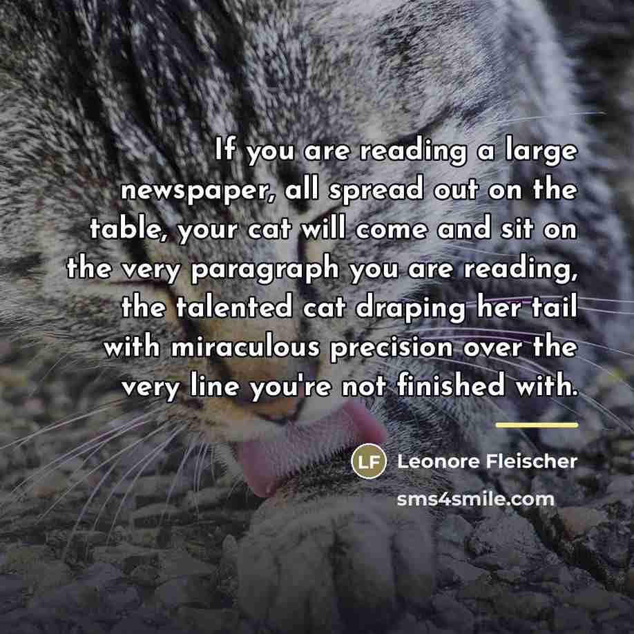 “If you are reading a large newspaper, all spread out…” quote by Leonore Fleischer