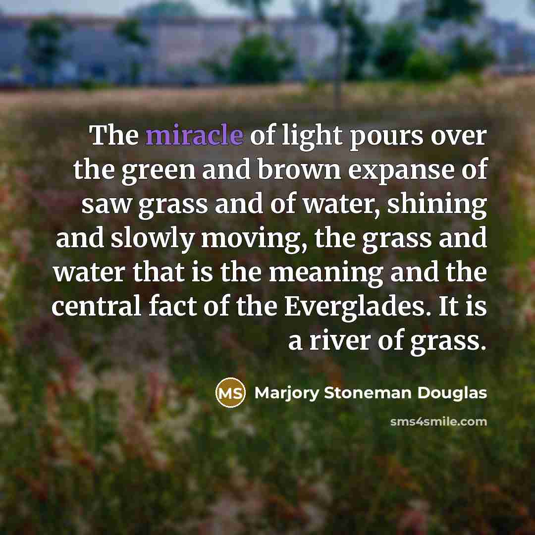 “The miracle of light pours over the green and brown…” quote by Marjory Stoneman Douglas