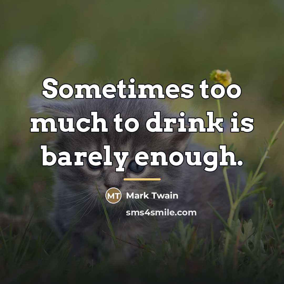 “Sometimes too much to drink is barely enough.…” quote by Mark Twain