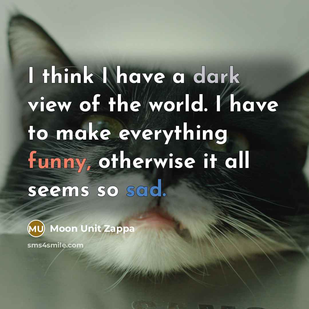 “I think I have a dark view of the world. I have to make everything funny, otherwise it all seems so sad.” quote by Moon Unit Zappa